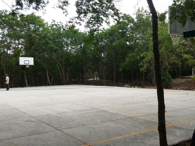 place photo 39