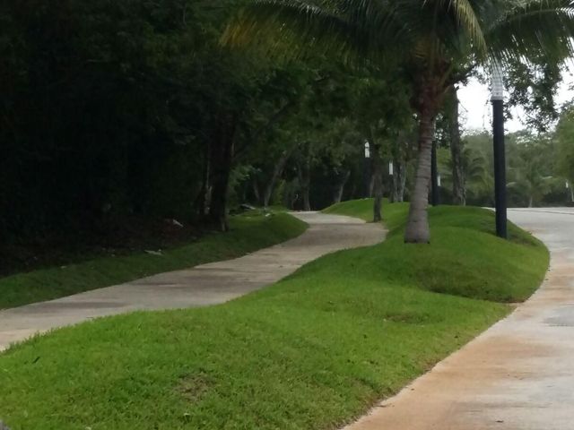 place photo 44