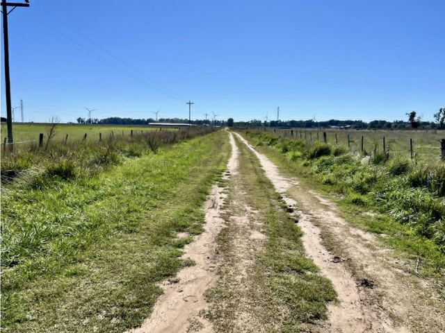 place photo 16