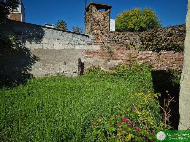 place photo 35