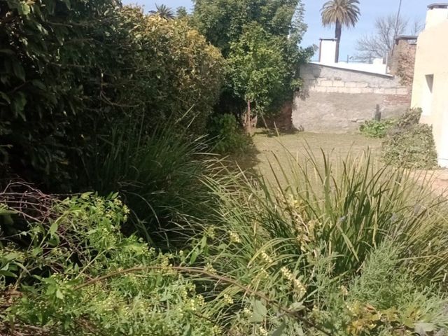 place photo 39