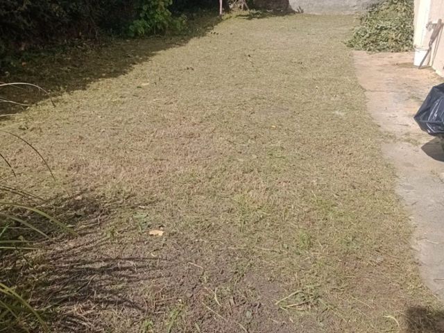 place photo 40