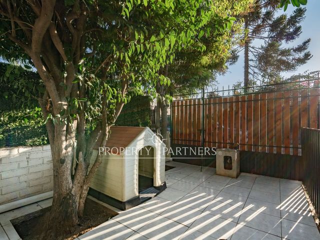 place photo 34