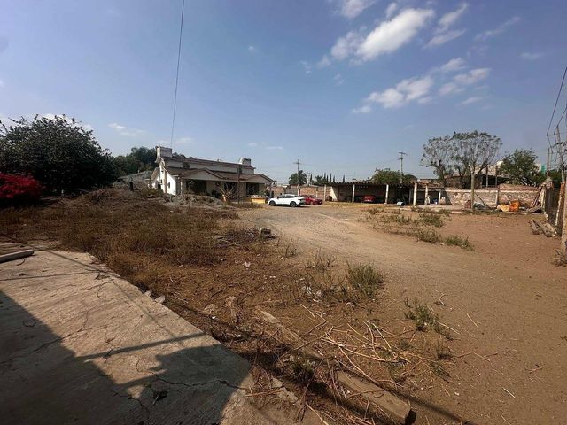 place photo 27