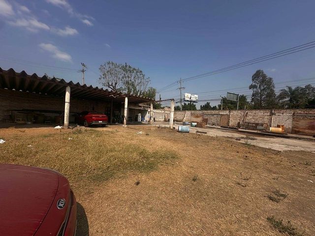 place photo 20