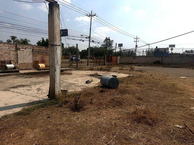 place photo 18