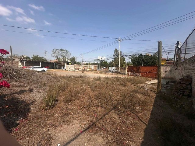 place photo 24