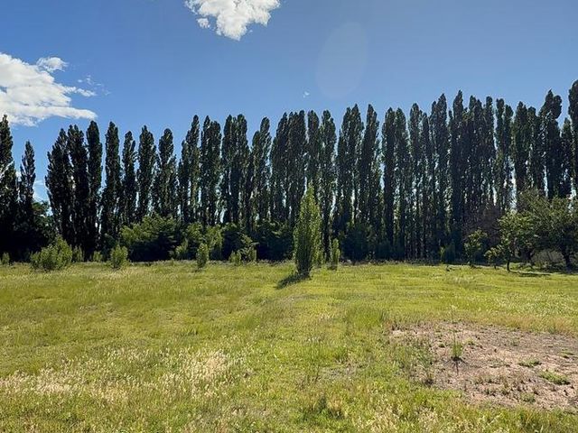 place photo 37