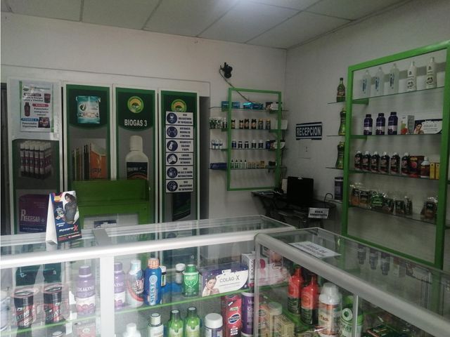 place photo 17