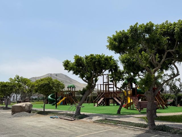place photo 33