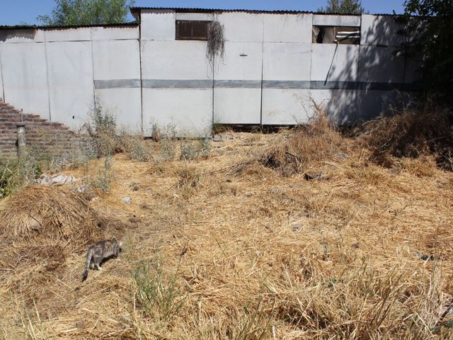 place photo 28