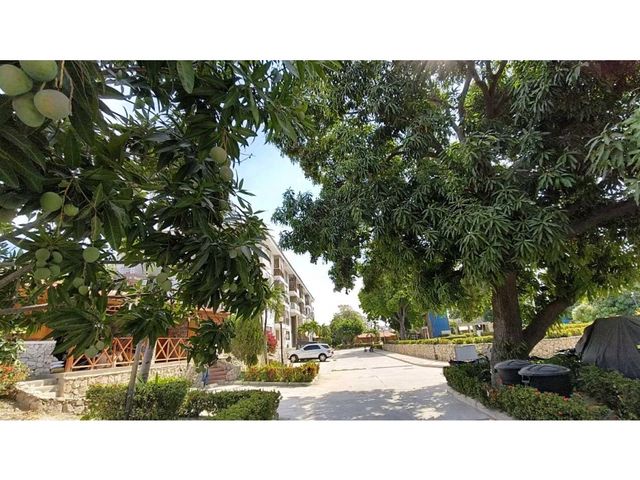 place photo 15