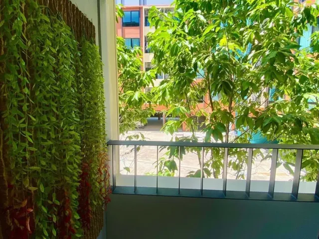 place photo 19