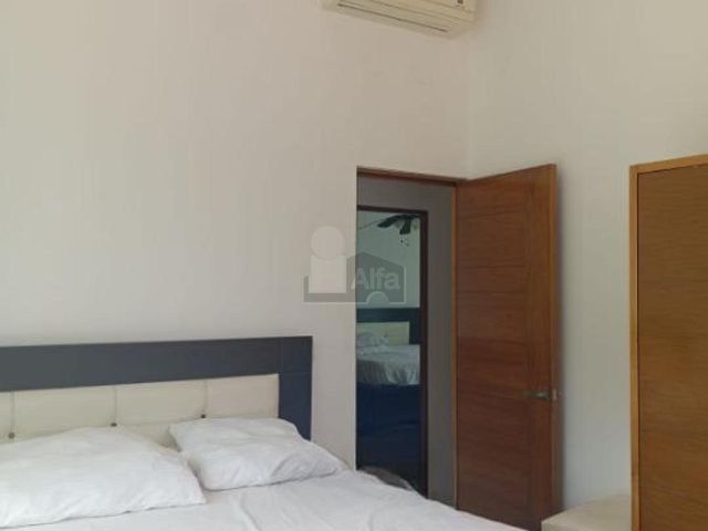 place photo 56