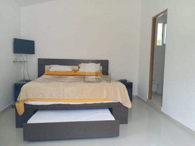 place photo 54