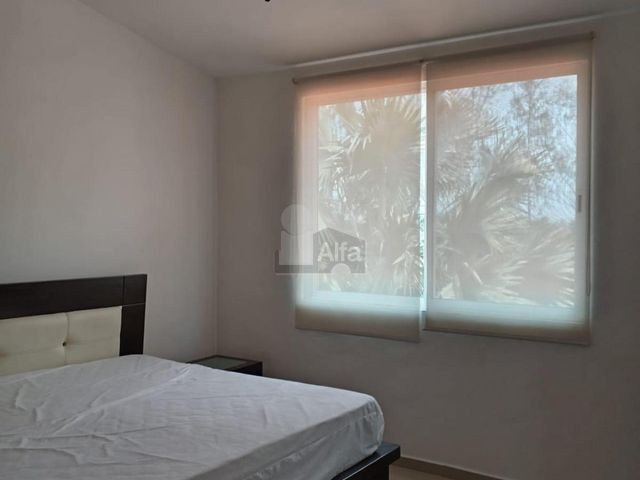 place photo 61