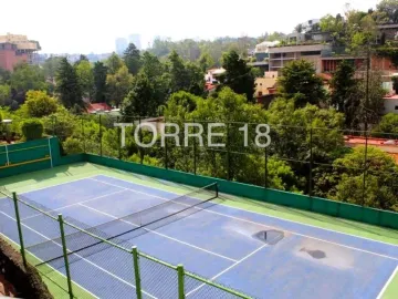 place photo 28