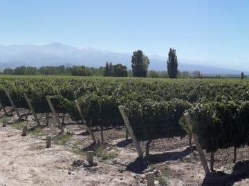 place photo 25