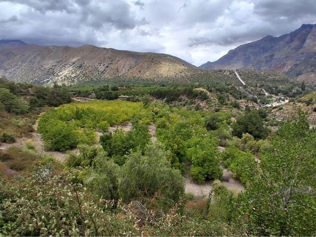 place photo 28