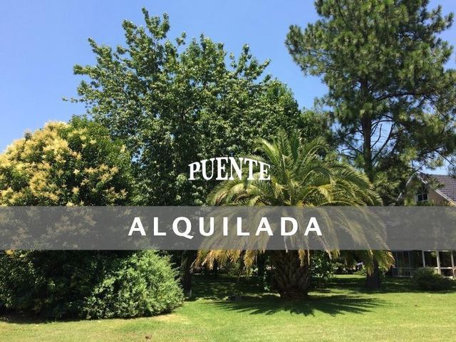place photo 38