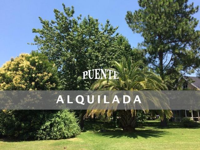 place photo 30