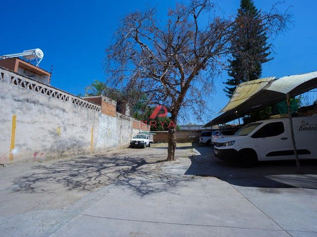 place photo 8