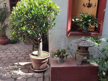 place photo 31