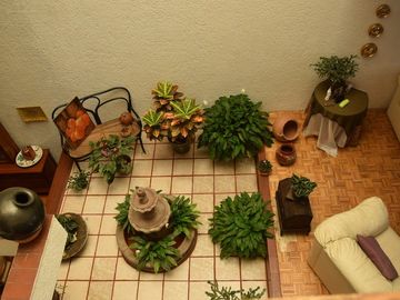 place photo 34