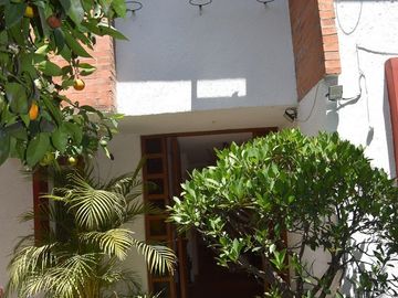 place photo 44