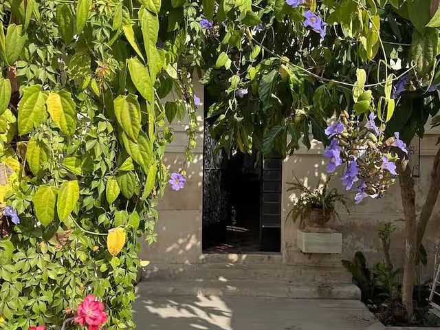 place photo 26
