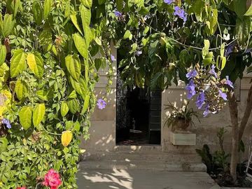 place photo 26