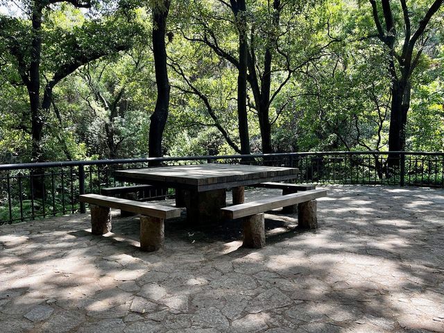 place photo 41