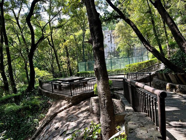 place photo 40