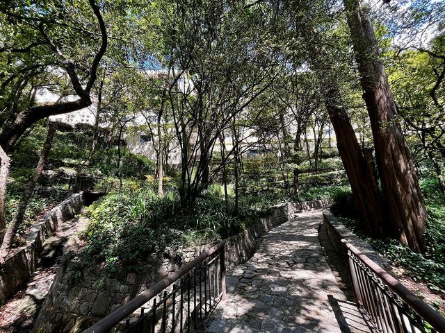 place photo 44