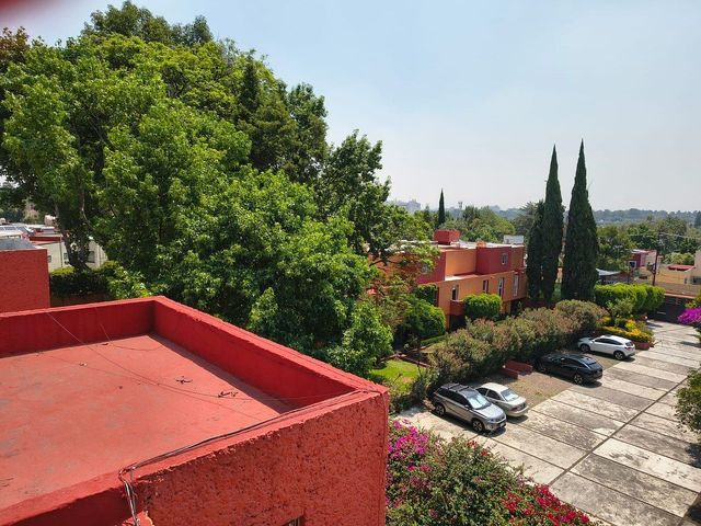 place photo 22