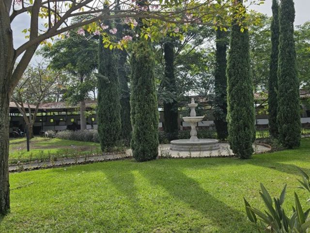place photo 27