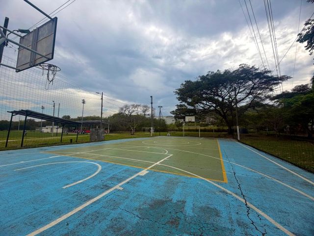 place photo 27