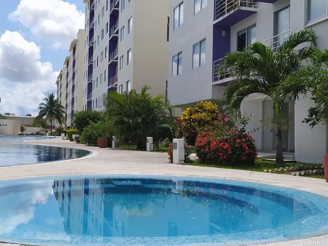 place photo 46