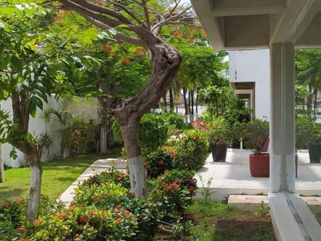place photo 44