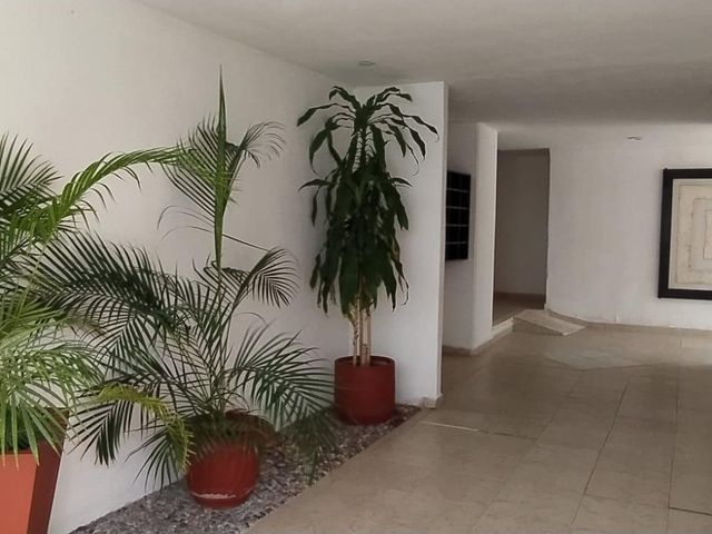 place photo 43