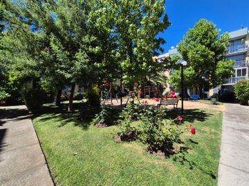 place photo 24