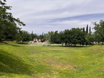 place photo 23