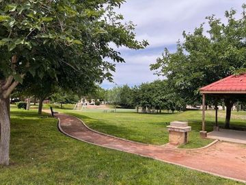 place photo 24