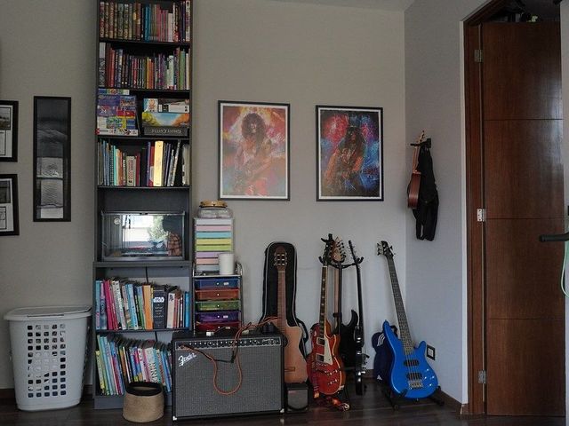 place photo 24