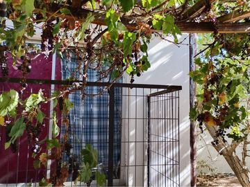 place photo 49