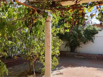 place photo 52
