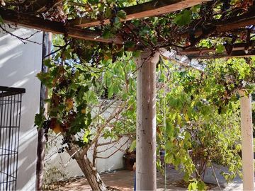 place photo 50