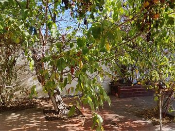 place photo 54