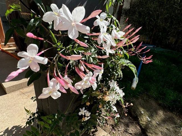 place photo 33