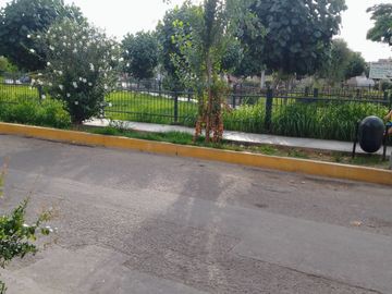 place photo 22
